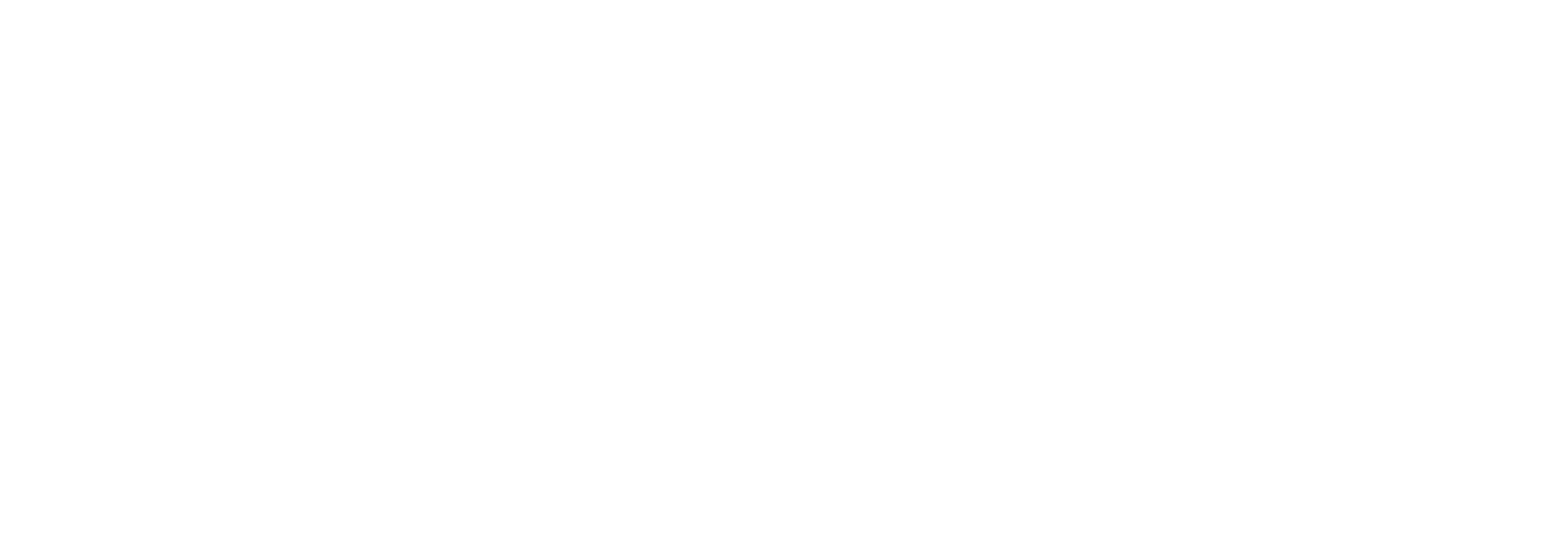 Polygon Logo - Fidec